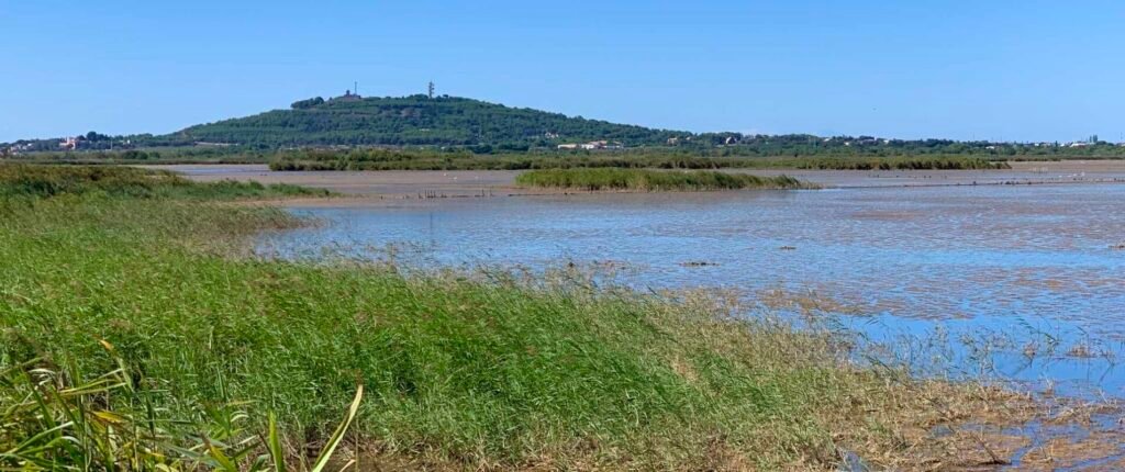 mont_saint_loup_agde